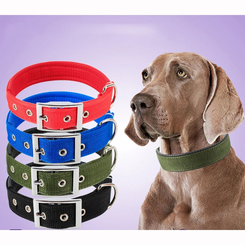 Collar de paseo para perros en varios colores