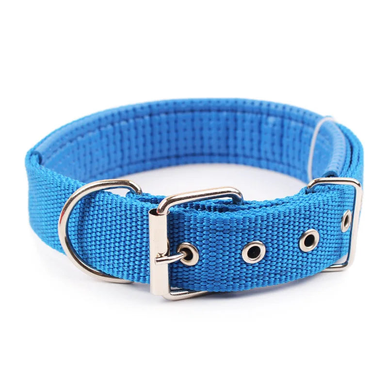 Accesorio de paseo para perros con cierre ajustable
