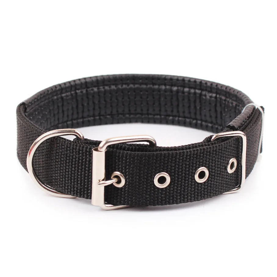 Collar de nylon para perros disponible en varias tallas