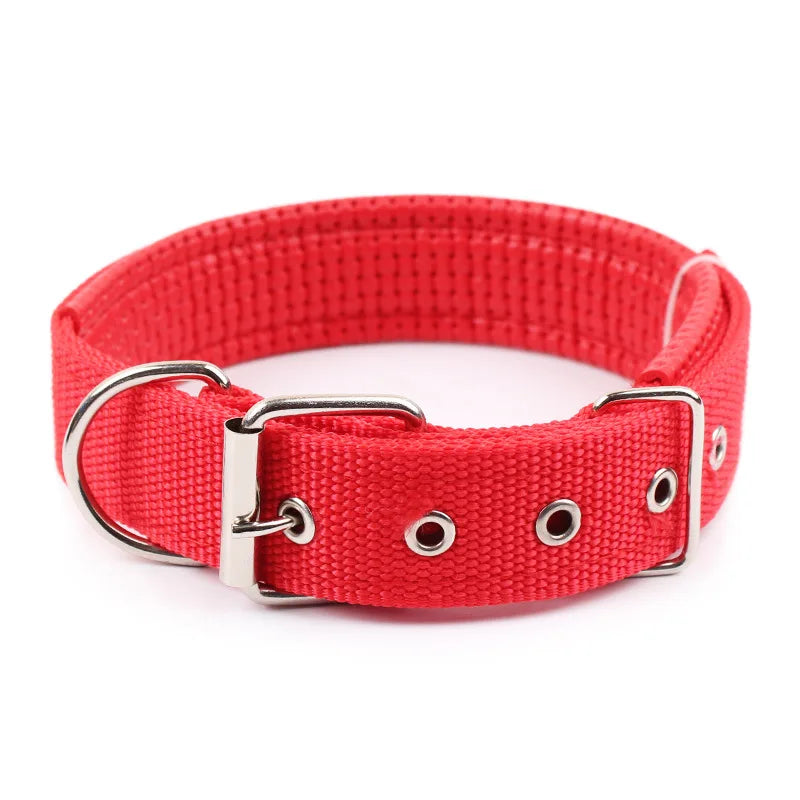 Collar de perro en color sólido para uso diario