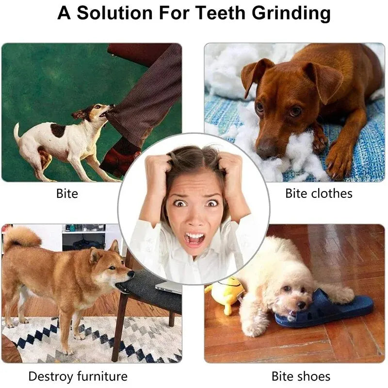 Pelota de entrenamiento y entretenimiento para perros
