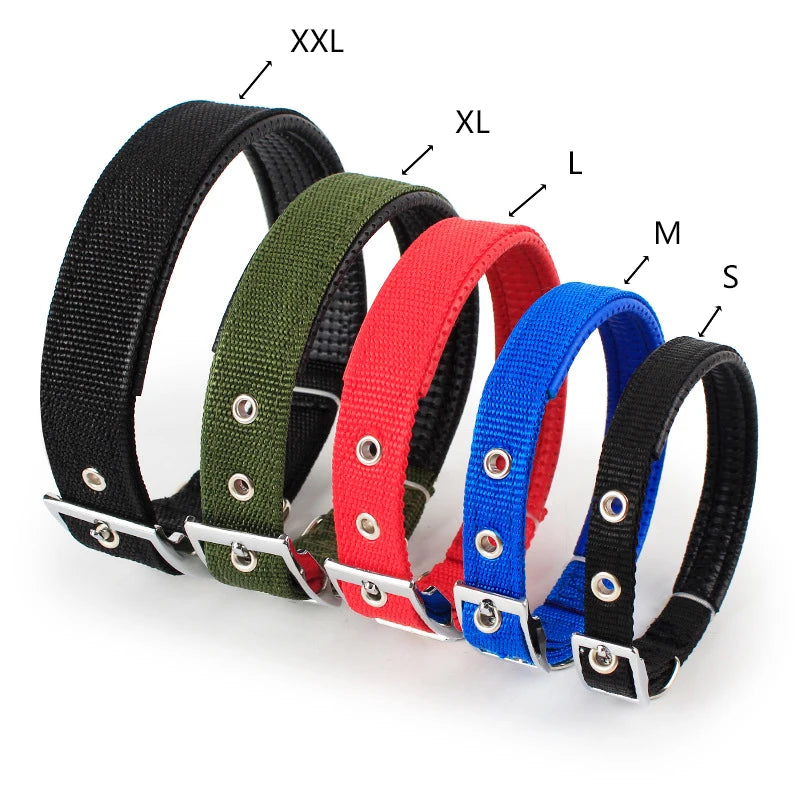 Detalle de collar de nylon ajustable para mascota
