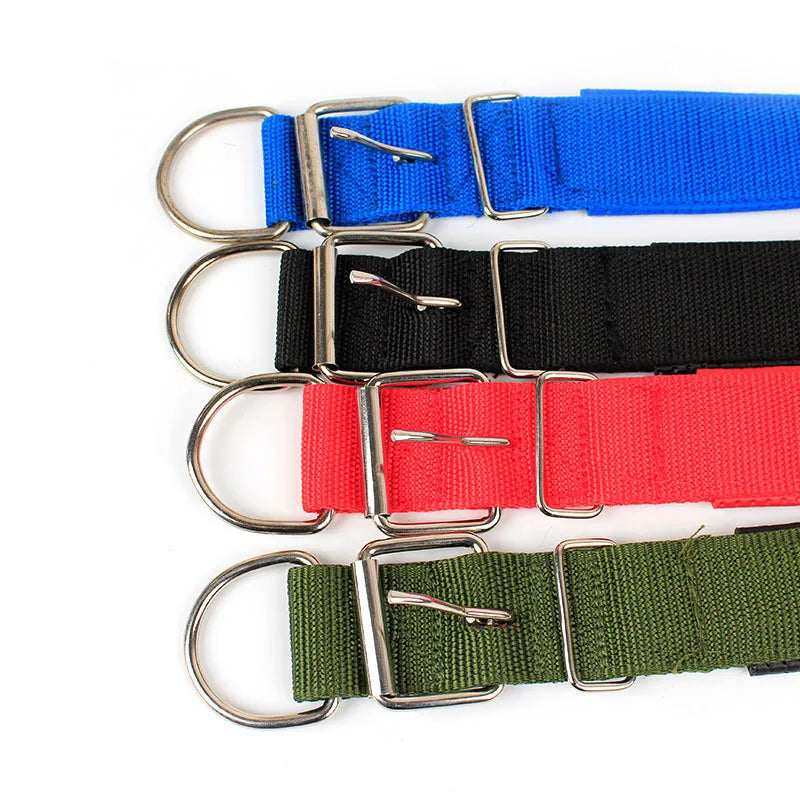 Collar básico para paseo diario con perro