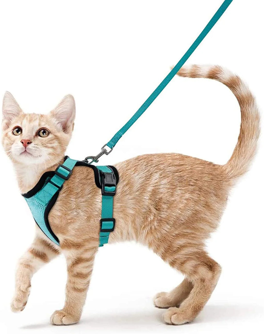 Arnés ajustable con correa para gatos de ThePetShopFun