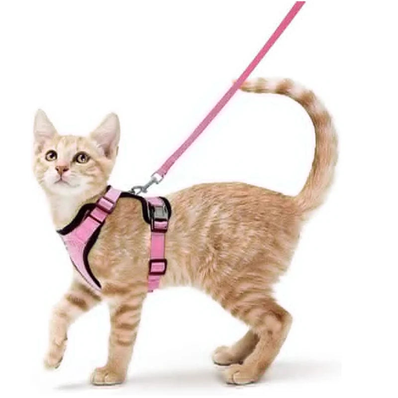 Arnes ajustable con correa para gatos en color naranja