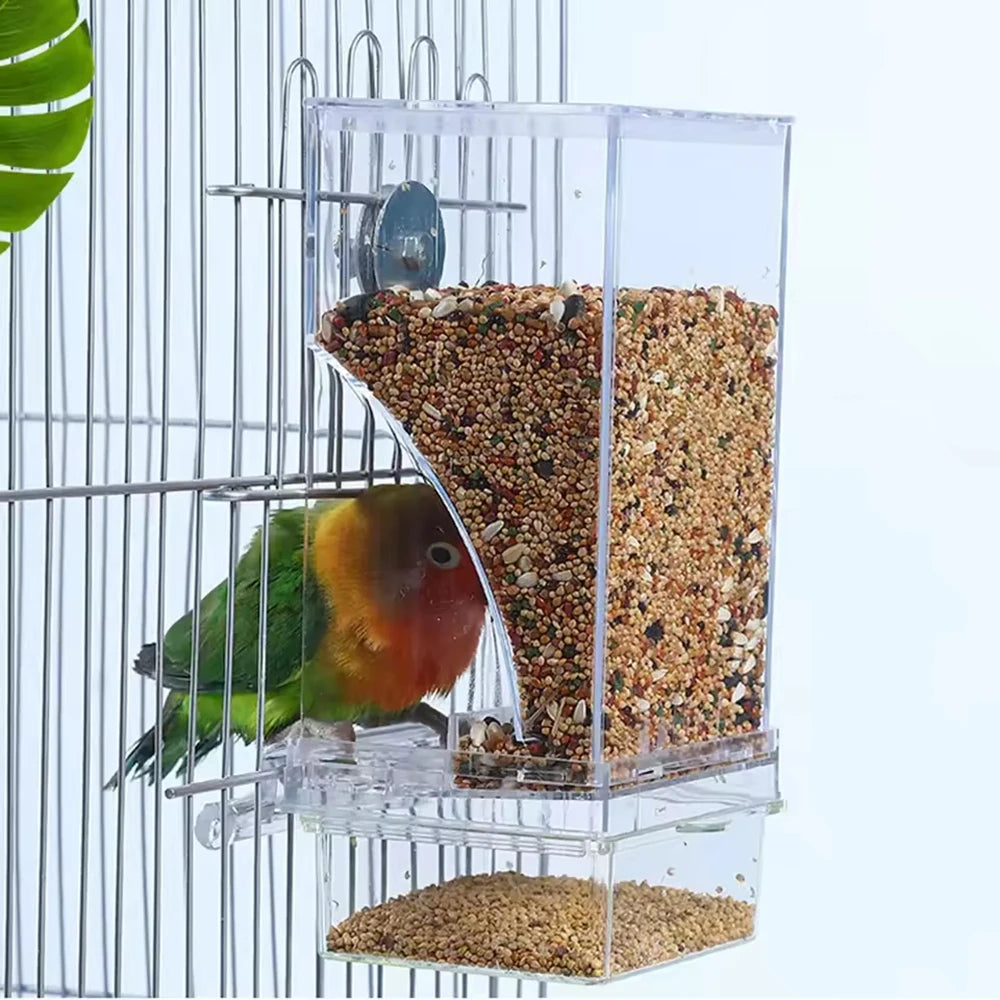 Comedero antiderrame transparente para aves de ThePetShopFun