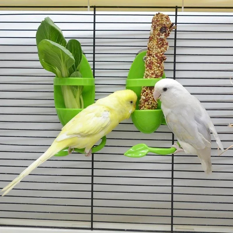 Accesorio de alimentación para loros, periquitos y ninfas