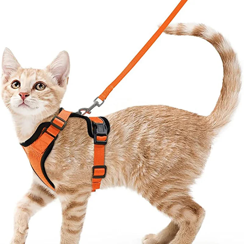 Arnes ajustable con correa para gatos en color negro