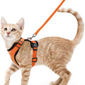 Arnes ajustable con correa para gatos en color negro