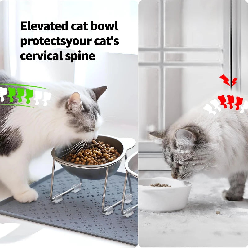 Cuenco inclinado para alimentación cómoda de gatos