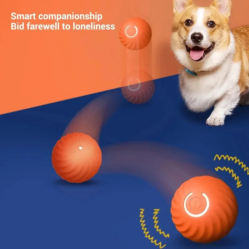 Pelota automática para estimular el juego del perro