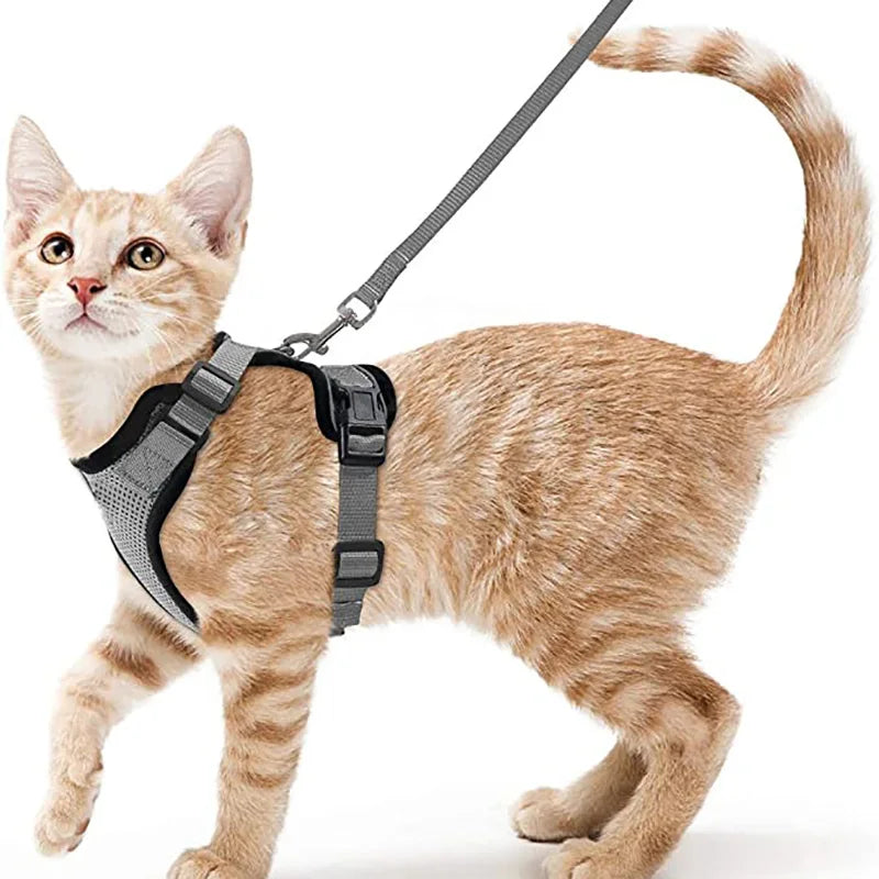 Arnes ajustable con correa para gatos en color rojo