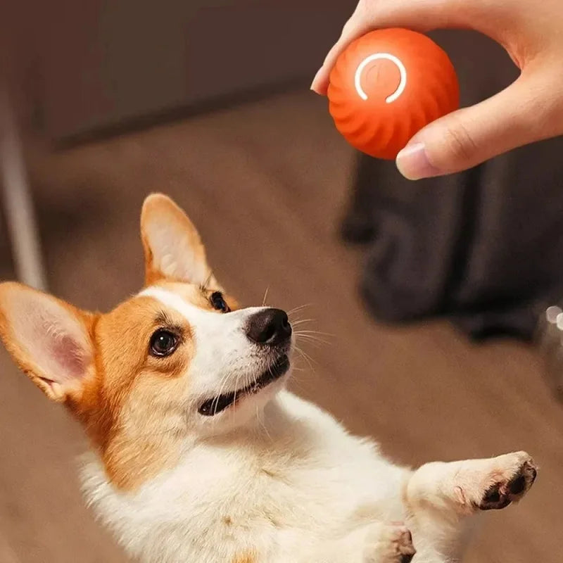 Juguete de actividad para perros curiosos