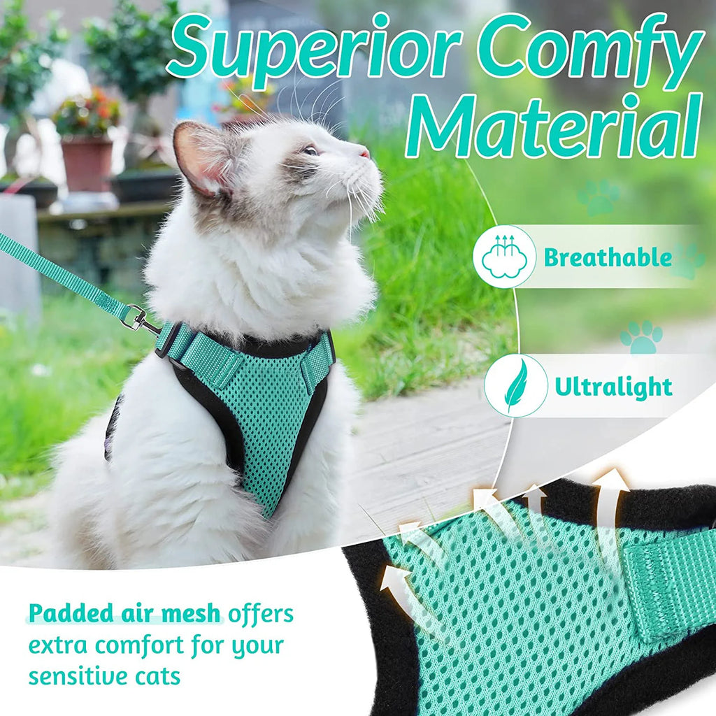 Arnés ajustable para salidas controladas con gato