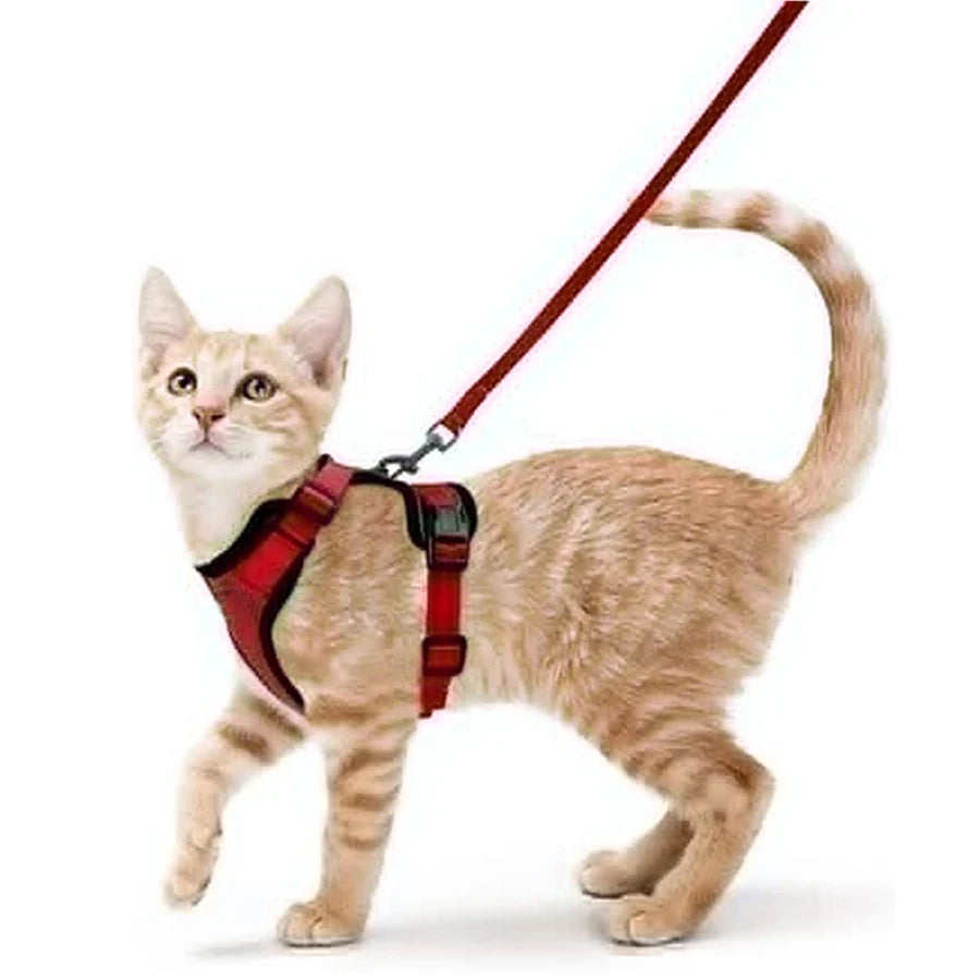 Arnes ajustable con correa para gatos en color azul