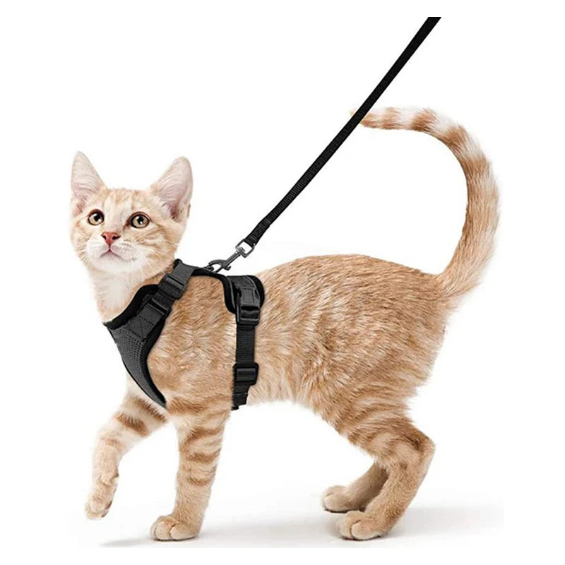 Arnés ajustable para gato talla XS o S