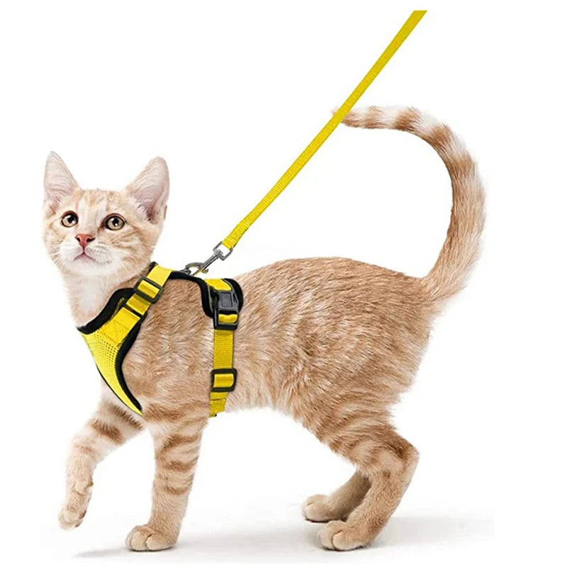 Arnes ajustable con correa para gatos en color gris